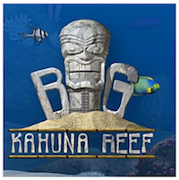 Big-Kahuna-Reef-Game.png