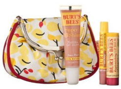 Burts-Bees-Lip-Pouch.png