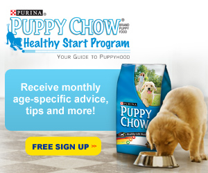 Purina Puppy Chow Program