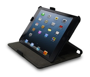 RooCase iPad Case