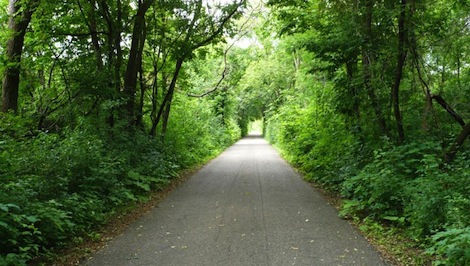 Beaver Island Trail