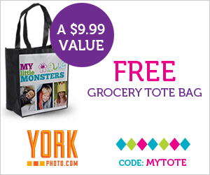 York Photo FREE Bag